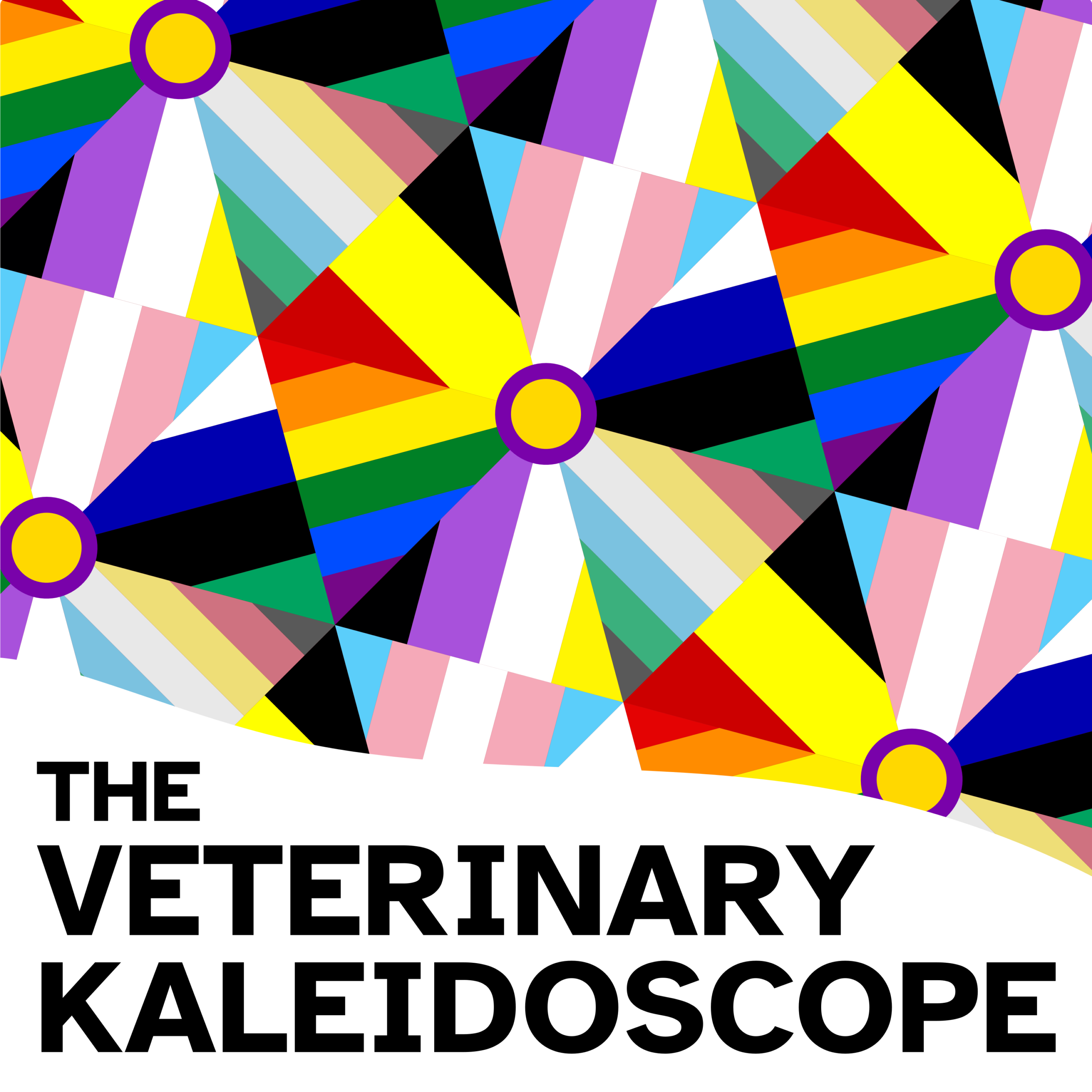The Veterinary Kaleidoscope Summit